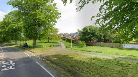 A grassy roadside verge with a path leading into the common