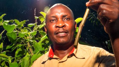 Man looking at the stalk of a plant