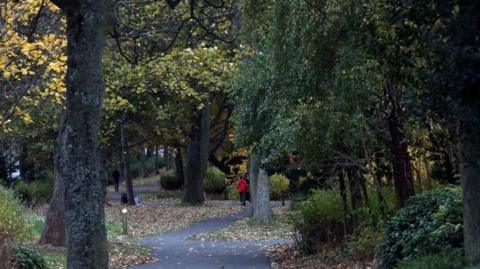 Trees in Leazes Park, Newcastle