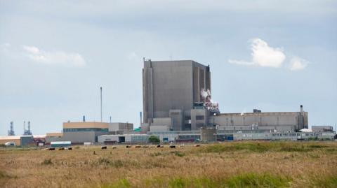 Hartlepool power station: an array of grey, concrete buildings with a tall, rectangular building at its centre. In the foreground, fields and cows can be seen.