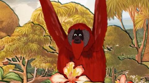 Illustration of an orangutan in a rainforest