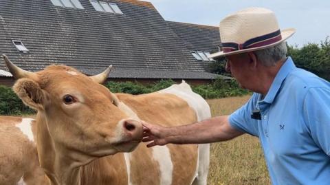 Major Beaumont pets a Guernsey cow on the snout in a field. He is wearing a blue polo top and a straw hat.