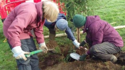 Three people plant a tree in a field. One holds a spade full of soil while the others position the tree.