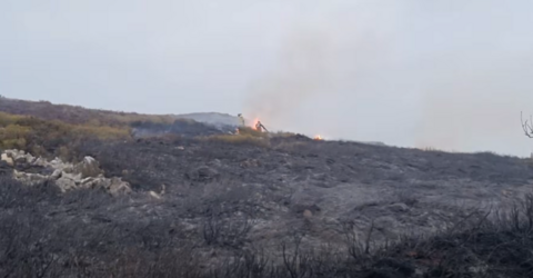 An area of gorse and brash on a slope, with flames burning in the distance. A figure can be seen silhouetted against the flames. It is daylight, on a cloudy day
