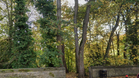 The tree-lined entrance to a park. There is a gap in a wall that runs around the park where the footpath runs. A waste bin stands to the side.