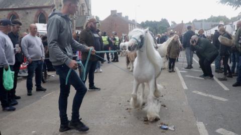 A traveller wrangling a horse at the Appleby horse fair