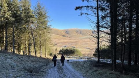 Two people out walking a dog through a forest with a large gree hillside in the distance and a frosty track under their feet