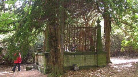 An old grave site with metal railings around it. It's surrounded by trees and a person in a red coat and black trousers is next to it.