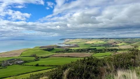 An aerial view of patchwork fields - the majority of the fields are a vivid green although some are a grey/brown colour. The sea can be seen in the background. It all sits under a blue sky filled with white clouds. There are green bushes in the foreground