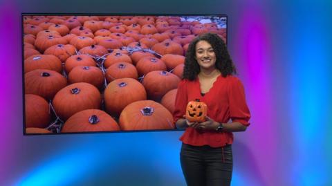 Nina on the Newsround set