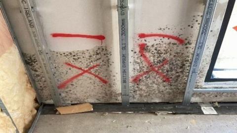 Mouldy plasterboard panels