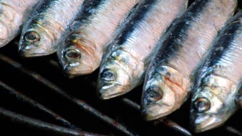 Six sardines on a BBQ grill