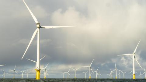An offshore wind farm on a cloudy day. There are dozens of wind turbines in the sea.