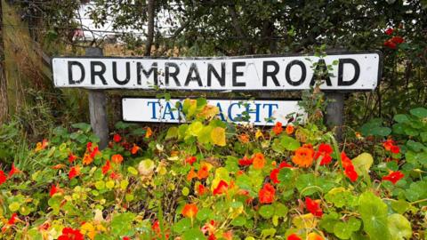 A white road sign says Drumrane Road in black capital letters on a white background. There are red, orange and yellow flowers in front of it and a green hedge behind it.