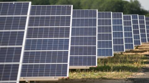A row of blue solar panels lined up in rows on a field on green grass. There are also trees and bushes in the background. 