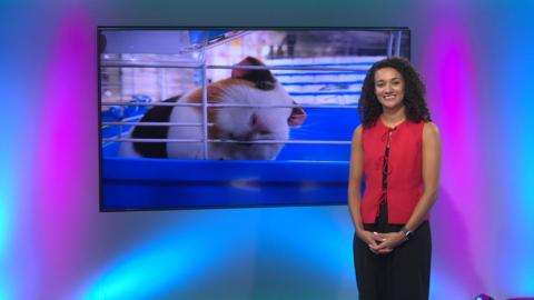 Nina on the Newsround set