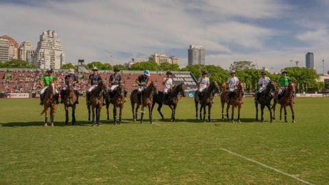 Horse Cloning in Argentina