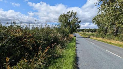 A country lane with grass verges on either side. Bushes and trees line the road.