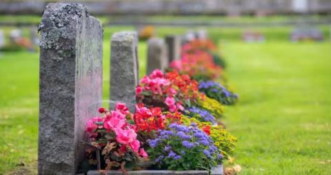 Brightly coloured flowers adorn a row of graves in a cemetery