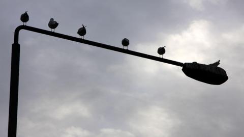 This is a photo of a lamp post in silhouette. There are five birds sitting on the beam holding the light. There is a grey, cloudy sky in the background.