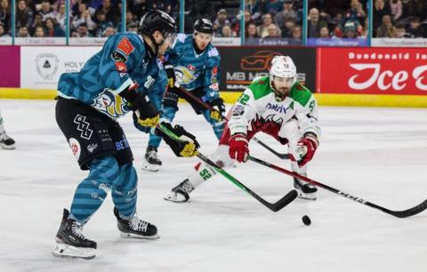 Cardiff Devils' Jimmy Oligny in action against Belfast Giants