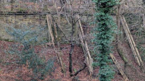 The section of the Derwent Walk supported by the wall. The stone wall has been built half way up a river bank. A wooden fence stands on top of it. Four wooden beams are supporting the wall. Two have clear gaps and breakages while the third has toppled over.