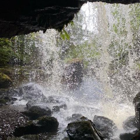 Waterfall in Campsie Fells where the water is splashing on the rocks in the foreground. You can see we are in a deep forest.