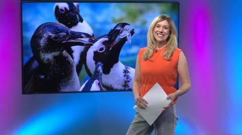 Jenny  in the Newsround studio