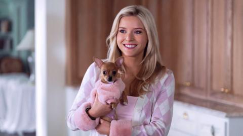 Lexi Minetree as Elle Woods. She's holding her dog Chihuahua, Bruiser, in her arms