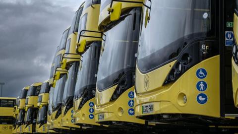 A row of yellow buses 