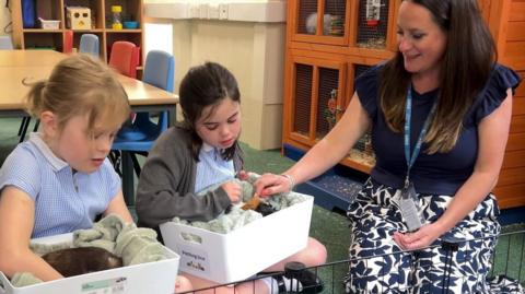 Nancy, who has blond hair in a ponytail and is wearing a blue gingham dress, sits on the left of the picture, she is holding a white box containing a black-furred guinea pig and is leaning in to stroke him. Isabelle is in the middle, wearing a grey cardigan and blue gingham dress. She has black hair which is also tied back, she is also holding a white box with a label which says "petting box" inside is a long-haired guinea pig, with black, white and brown spots. Their teacher, Caroline Sims, sits to the right of the picture, she has long brown hair and is wearing a blue top with frilled sleeves and white trousers with a blue leaf pattern. She is reaching into the box being held by Isabelle to stroke the guinea pig.