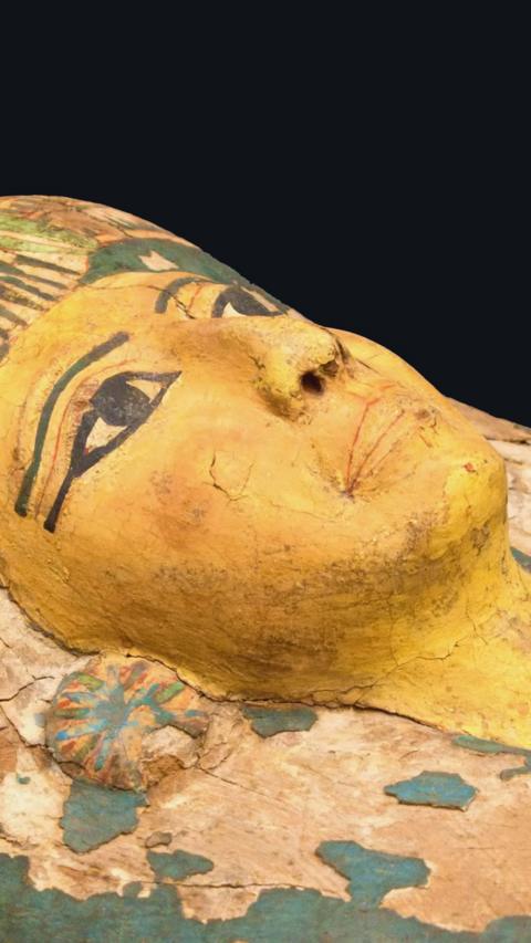 A head of an ancient Egyptian mummy