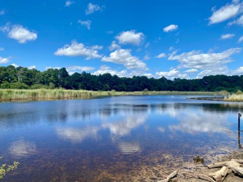 Bracknell Bracknell Forest