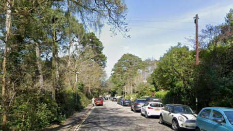 Lakeside Road in Pool, which has several cars parked by the curb, is flanked by rows of green trees on either side. 