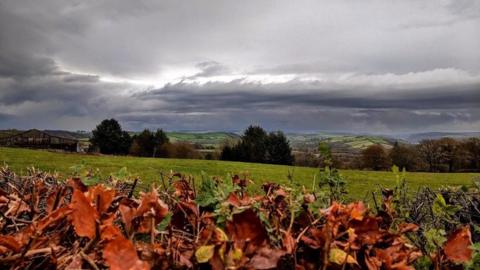 Autumn leaves in the foreground with a sloping field, trees and more fields in the distance. The sky is full of thick grey, horizontal layers of cloud.
