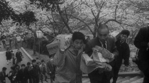 People carry supplies up steps against a background of cherry blossom trees.