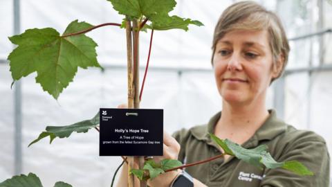 Juliet Stubbington is fixing a black label reading Holly's Hope Tree to one of the saplings. Juliet has straight short hair and is wearing a khaki t-shirt and a smart watch. 