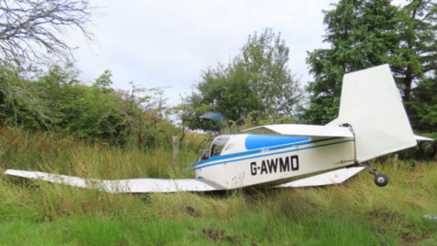 A small blue and white Jodel plane lodged into a green bank, surrounded by trees. 