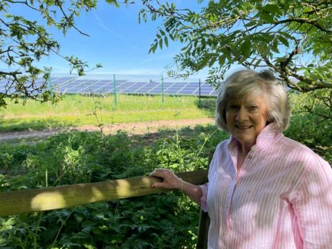 Woman with solar panels near her fence