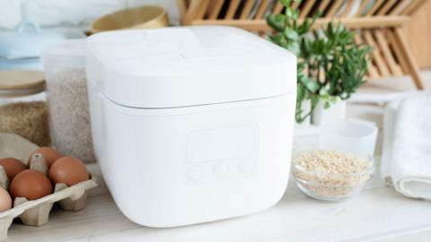 Rice cooker