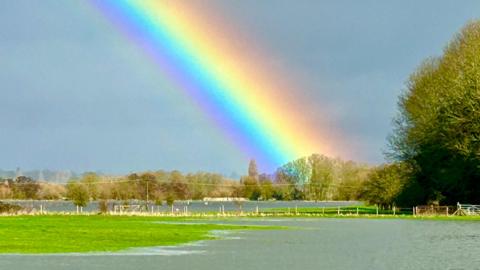 Partially flooded fields with a thick rainbow in the sky. 