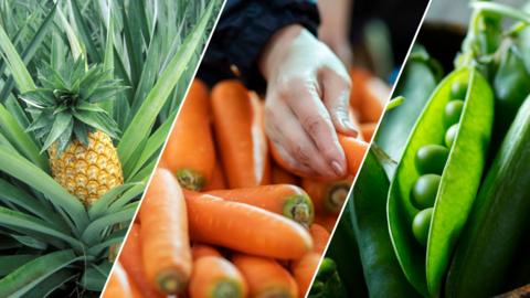 A split image of a pineapple, a pile of orange carrots and a pea pod.