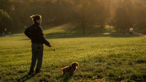 Dog walker