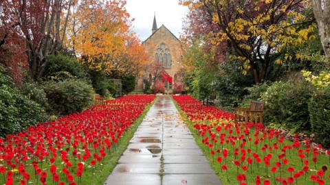 A stone pathway leads to a historic church, flanked by vibrant autumn trees in shades of orange, yellow, and red. Both sides of the path are lined with hundreds of bright red poppies planted in green grass, creating a striking memorial display.
