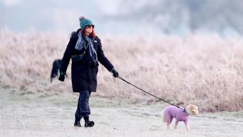 Woman walking dog in frosty area