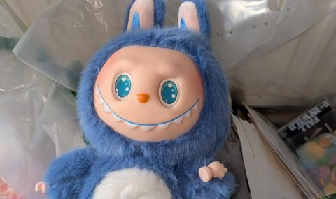 Fake Labubu