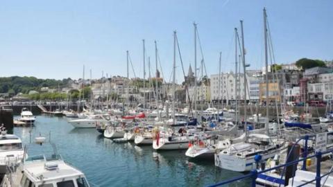 A picture of a harbour with white vessels lined up in rows on the water. There are houses in the background and green trees in the distance. 