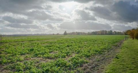 The Pitstock Solar farm site is located on either side of Pitstock Road, south of Rodmersham Green near Sittingbourne in Kent.