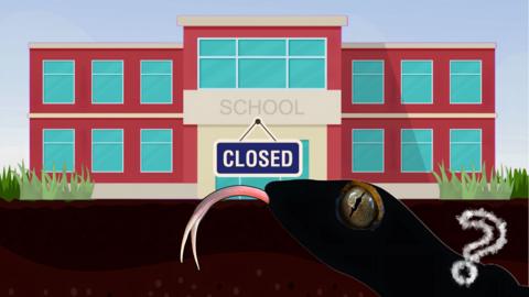 A cartoon style picture of a school with a silhouette of a reptile and a question mark. 