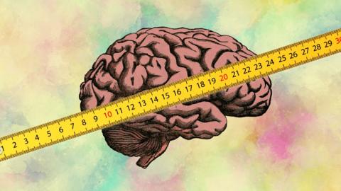 Illustration of a brain with a tape measure in front of it